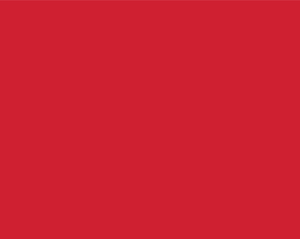 RS6-17_00 x 13_50